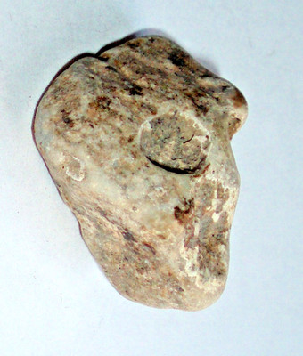 MUSEUM QUALITY ALIEN SHAPED HEAD SKULL ANCIENT HUMAN ROCK CARVING OR FOSSIL UFO