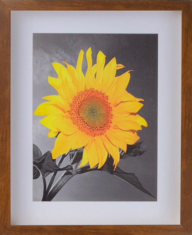 Marco de fotos caja sombra marrón 2-3/16" 11x14 12x18 16x20 24x36 30x40 36x36+ Foto 4 de 4