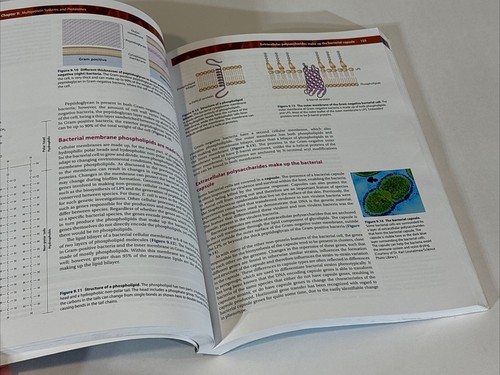 Bacterial Genetics and Genomics Second Edition by Lori A. S. Snyder 2nd CRC Book - Picture 6 of 10