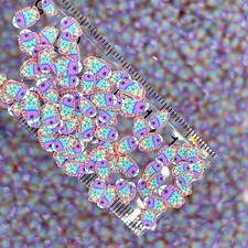 FAKE 5MM Blue Purple Fish, Animal Polymer Clay Sprinkle NOT EDIBLE D35-28