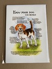 A5 Birthday Card With Envelope Know your dog BEAGLE