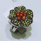 Foto 4 di 8