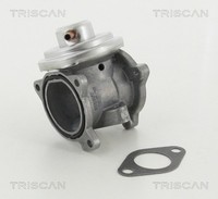 Triscan AGR Ventil 8813 29011 FüR Fabia VW A2 FOX Audi Seat Roomster Skoda Polo