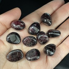 10Pcs Rare Natural Red Garnet CrystalGemstone Polished Stone Specimen 53g A6694