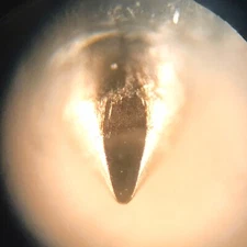 Cartridge Retipping: Standard ELLIPTICAL Diamond and Service MM MI