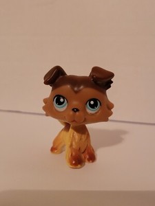 LPS collie #58 paw down variant Littlest Pet Shop authentic