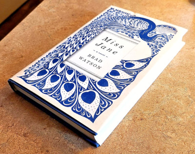 Miss Jane : A Novel by Brad Watson (2016, Hardcover) NEW