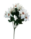 Foto 13 di 14