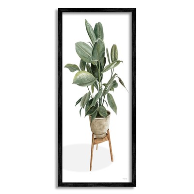 Lush Green Potted House Plant Round Leaves, Design by Cindy Jacobs