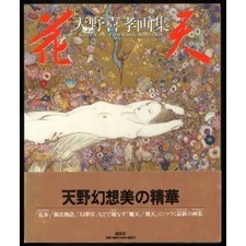 KATEN Yoshitaka Amano Art Book Illustration j...