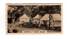 Wills Sporting Holiday in NZ 1928 #40 Camping at Kawau Island