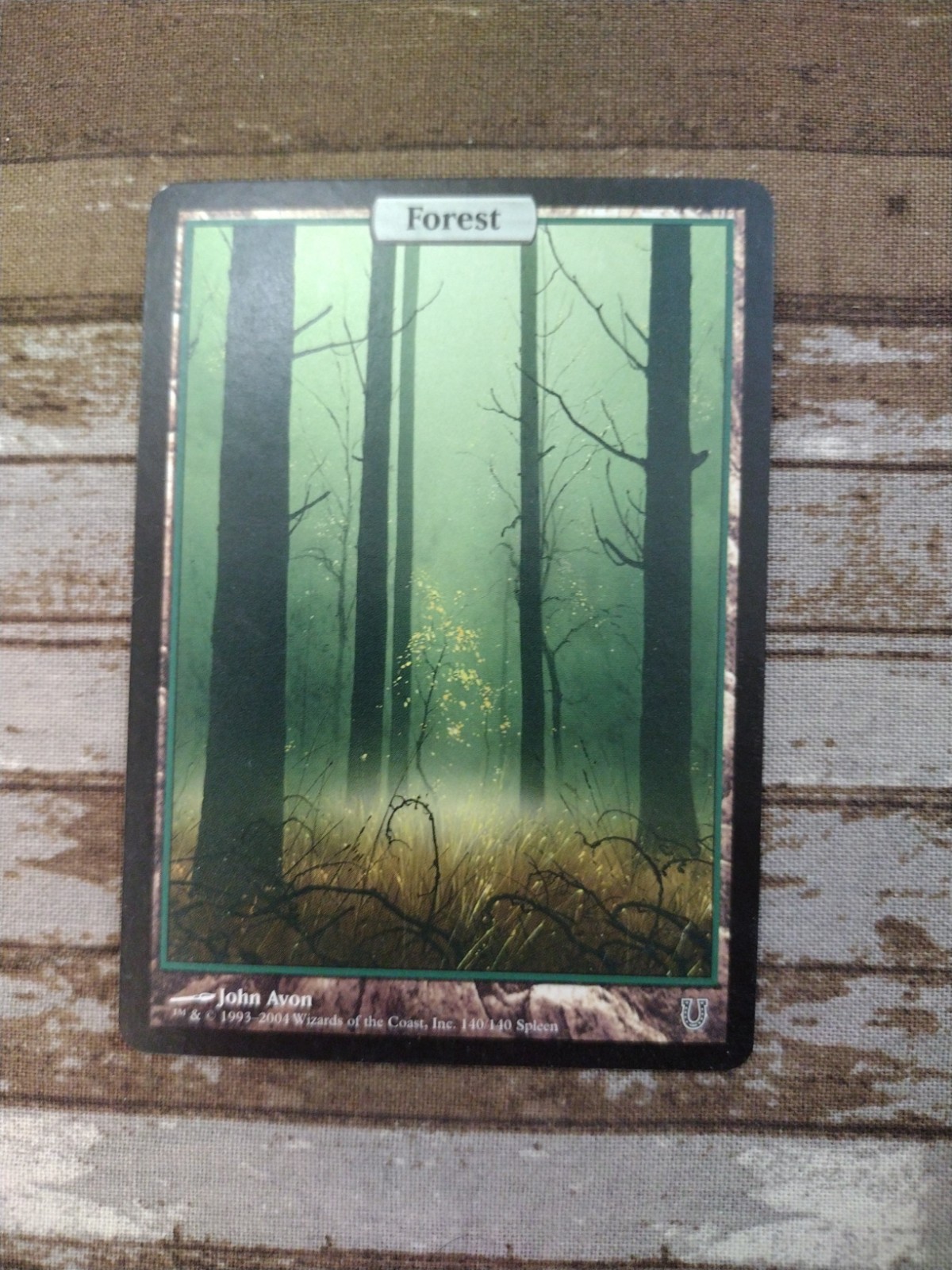 Forest - Full Art Unhinged Regular Magic, MTG