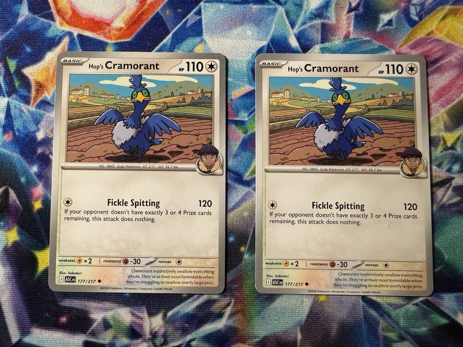 Hop’s Cramorant x2 177/217 Ascended Heroes. Common. Pokemon tcg