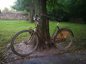 miele bicycle catalog