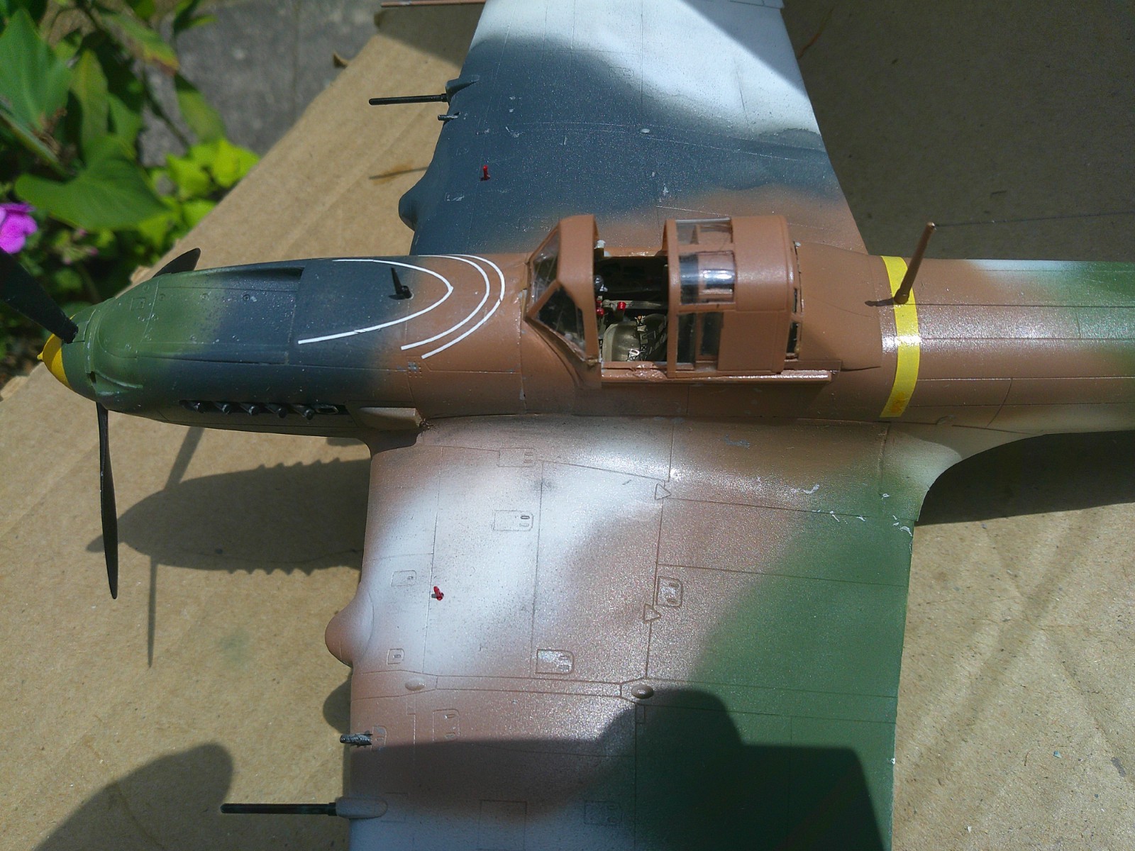 Picture 5 of 6