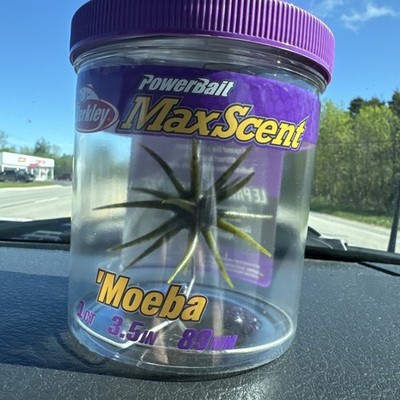 Berkley PowerBait MaxScent 'Moeba- Watermelon - 3.5''