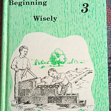 Beginning Wisely 3 by Lela Birky & Verna Mast Paperback Illustrated Worksheets