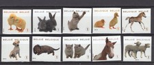 Belgium 2010 pet animals self adhesive set  mnh** 4004/4013