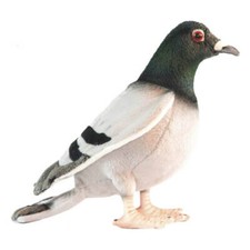 29cm L Hansa Pigeon Realistic Hand-crafted Soft Animal Plush Toy Perfect Gift