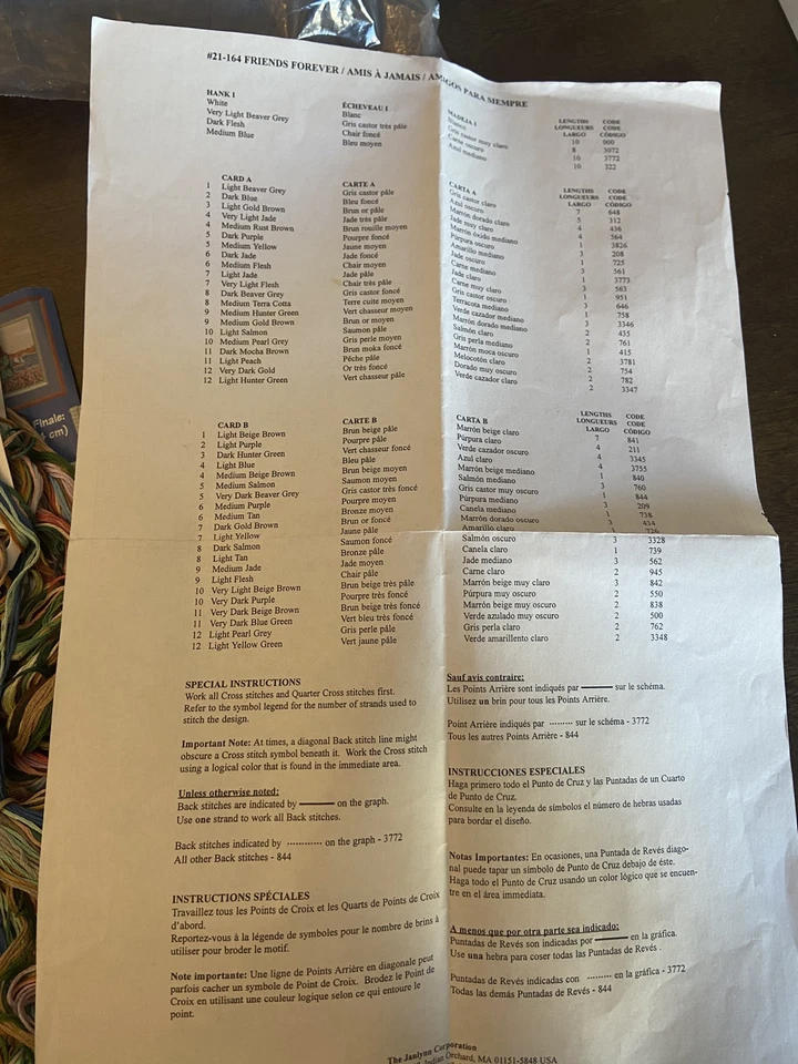 Janlynn Kit Punto de Cruz Friends Forever 2000 abierto completo #21-164 Foto 3 de 4