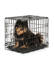 lionto Cage pour chats pliable