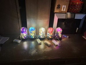 Light up fiber optic  roses in Plastic Dome