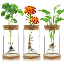Plant Propagation Stations 3 Pack Plant Terrarium, Propagation Jars Glass