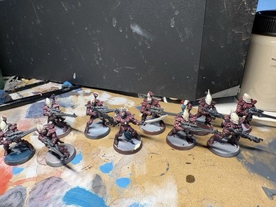 Warhammer 40k Aeldari Storm Guardians Alternativ