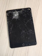 Apple iPad mini 5 2019 Wi-Fi A2133 7.9" - LCD Damaged