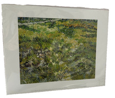 Vincent van Gogh Long Grass with Butterflies Fine Art Print National Gallery