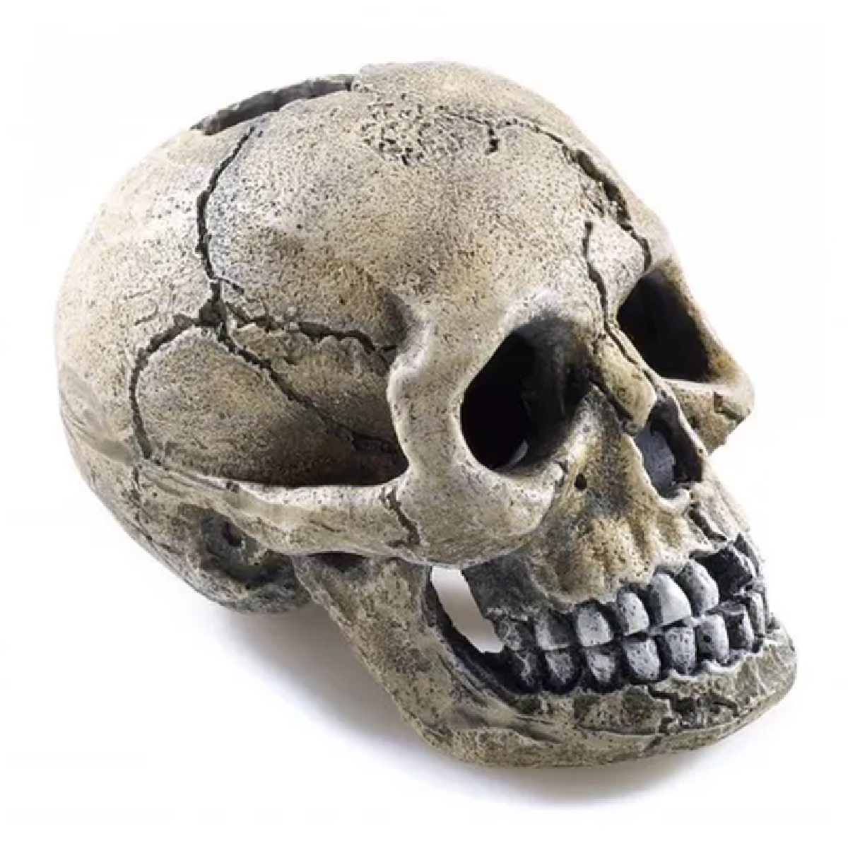SPOOKY SKULL - (8.5cm) - Classic Fish Aquarium Aqua Ornament Tank Pet Decoration