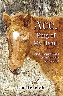 Ace, King of My Heart: An Assateague Ponys Tale of Stre... | Buch | Zustand gut