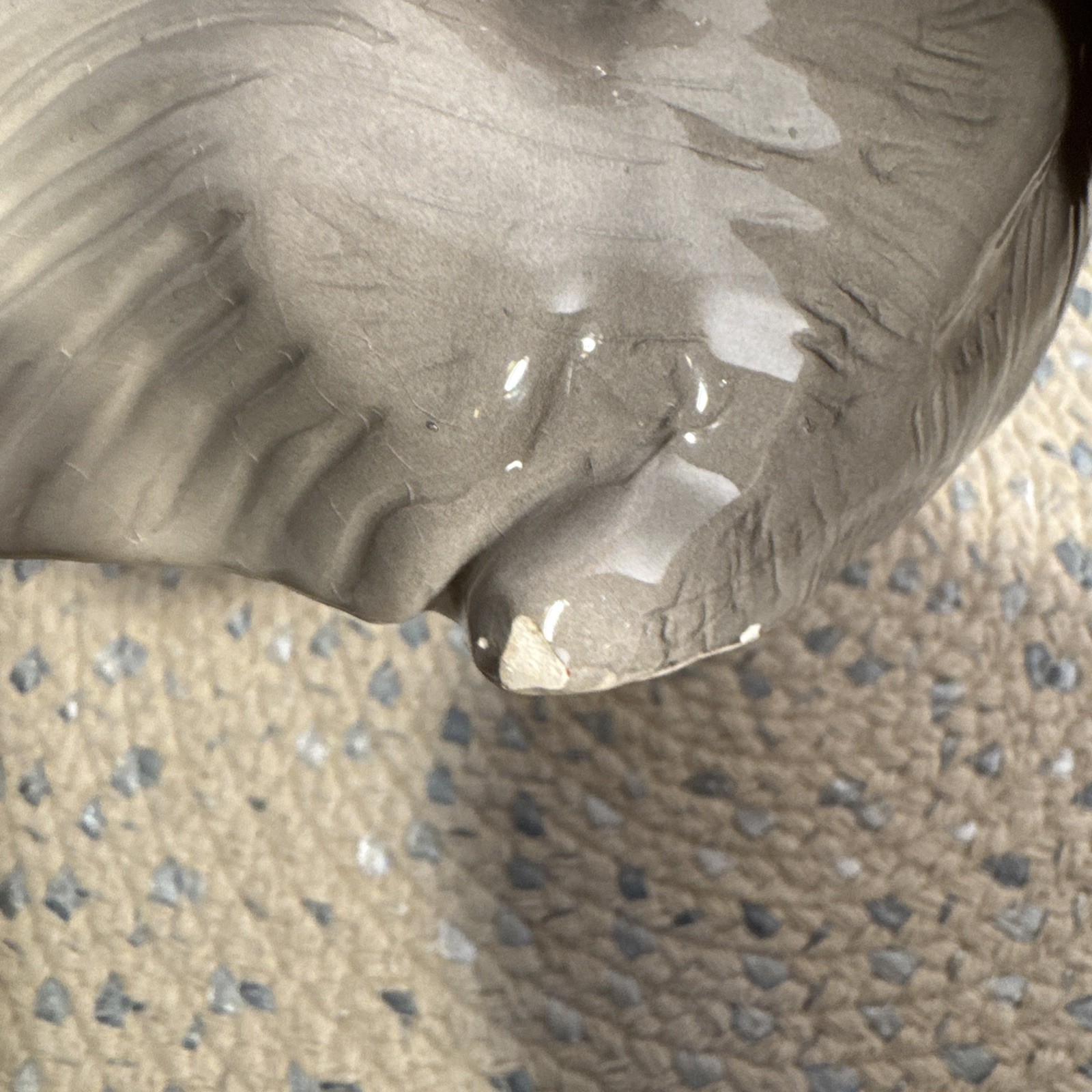 Bild 21 von 24