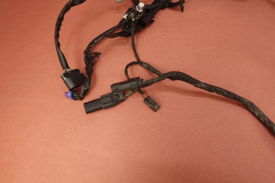 2024 18-24 HARLEY-DAVIDSON SOFTAIL FXST Main Engine Wiring Harness (A) - Image 4 of 4