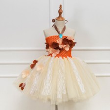 Girls Princess Tutu Dress Lace Tulle Flower Costume Birthday Party Cosplay
