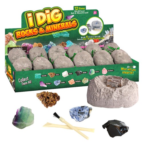 Model Kit Rocks Discovery DIY Archaeological Dig Natural Puzzle eBay