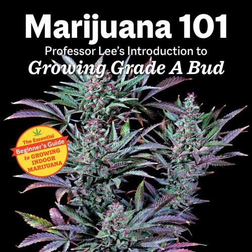 Picture 1