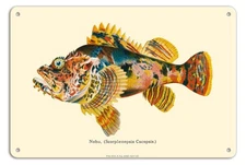 Nohu‘omakaha - Devil Scorpionfish - from Fishe Vintage Color Postcard 1905