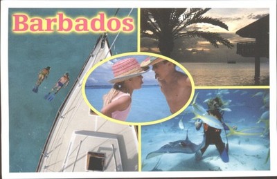 Barbados Tropischer Urlaub Multi-View Postkarte - Schnorcheln, Sonnenuntergang, Rochen