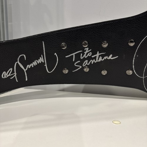 WWE Tag Team Replica Belt Signed Hart Foundation, Demolition, DX - Foto 8 di 23