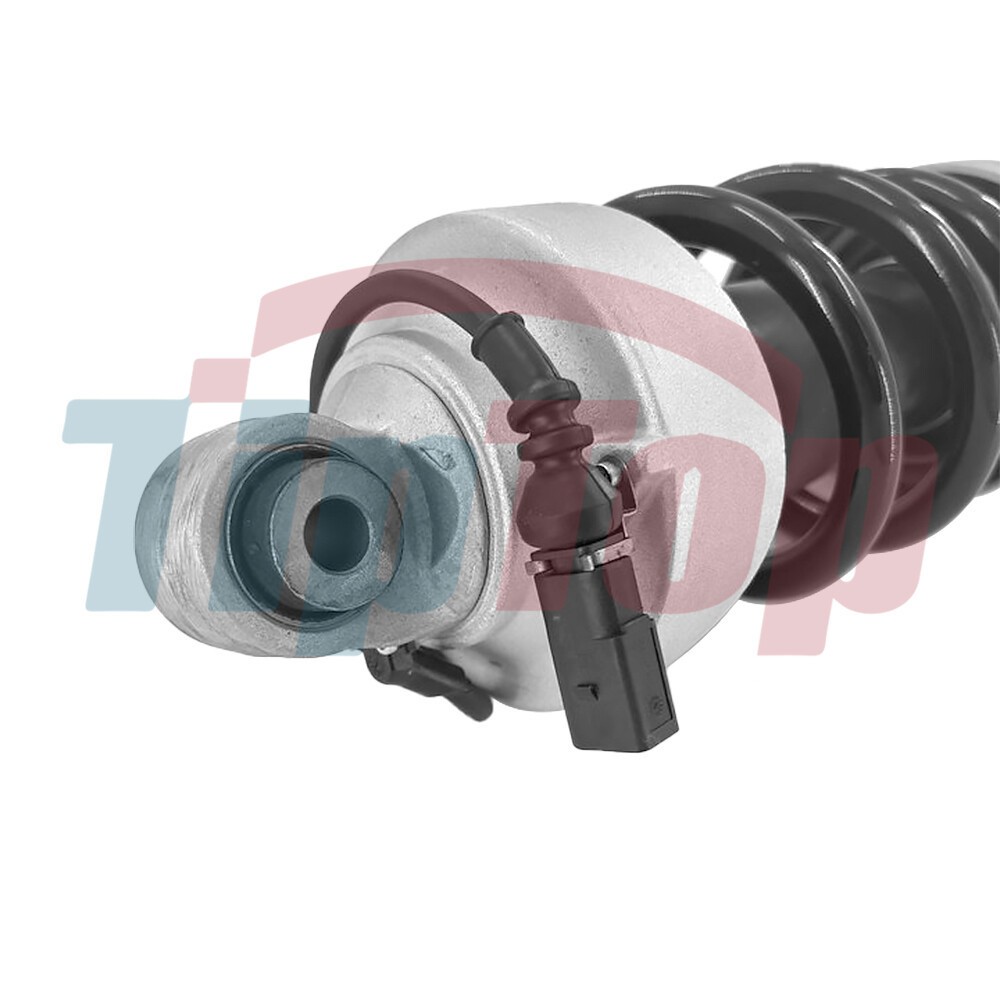 Front Shock Absorber Strut with Magnetic Fit 2007-2015 Audi R8 V8 V10 420412019Q