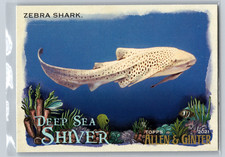 2021 Topps Allen & Ginter Zebra Shark Deep Sea Shiver #DSS-14