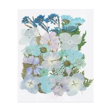 30 Pcs Dried Pressed Flower Leaves Bulk for Resin, Fragrant Series Light Blue