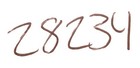 Foto 11 di 11