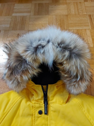 Canada Goose Youth Rundle Bomber - Picture 8 of 18