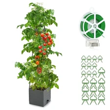 Qaobo Raised Garden Bed, Planter Boxes with Trellis 58.3'' Tomato Planters fo...