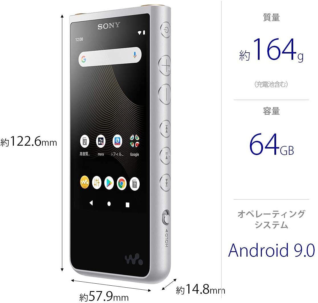 SONY WALKMAN 64GB Hi-Res ZX Series Audio Player [NW-ZX507] Black