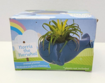 Ceramic Narwhal Animal Planter - Succulents & Small Plants - Norris, Pot, Vase