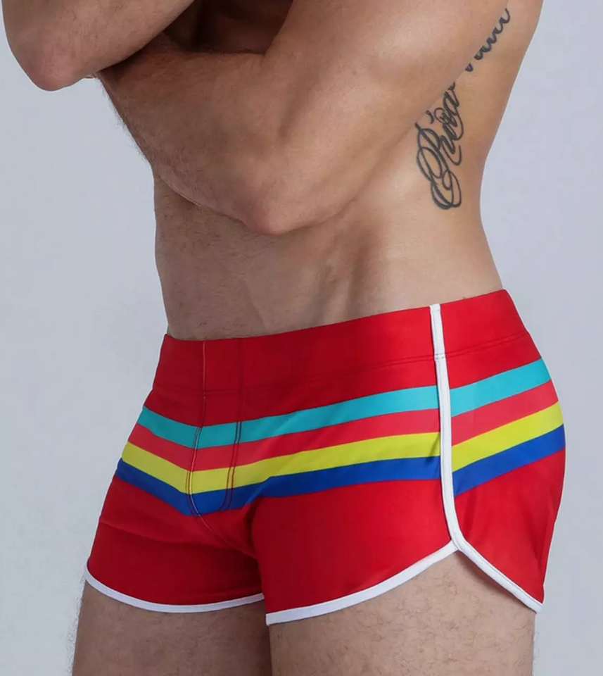 Speedo Men's Contort Stripes Brief Swimsuit at