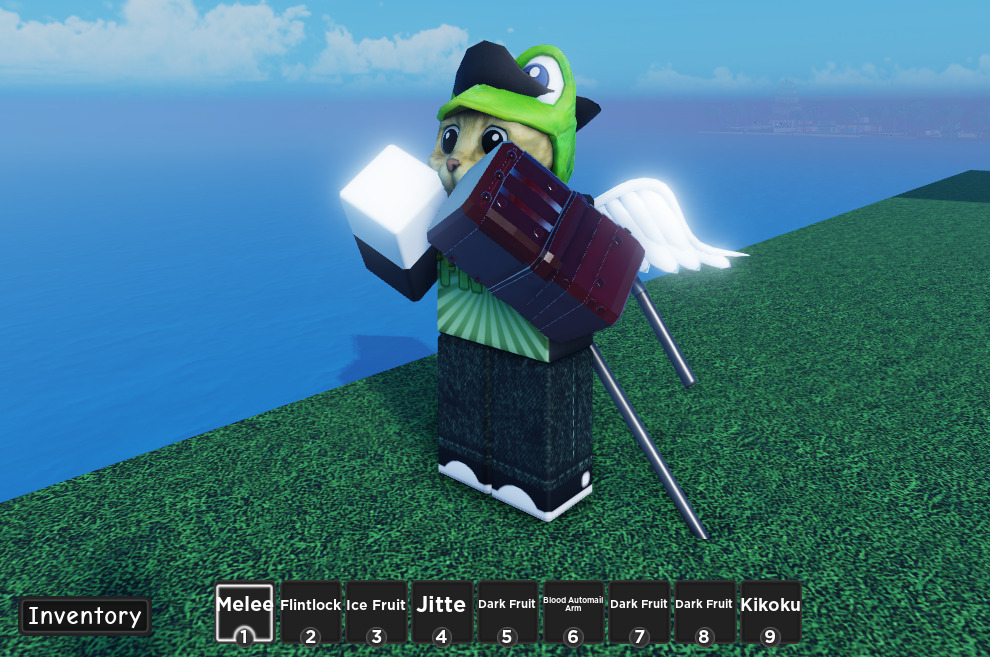 AOPG (Roblox) All Accessories and Items A One Piece Game - Read Desc